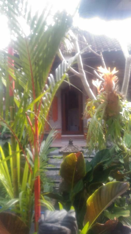 Dewi Antara Homestay อูบุด ภายนอก รูปภาพ